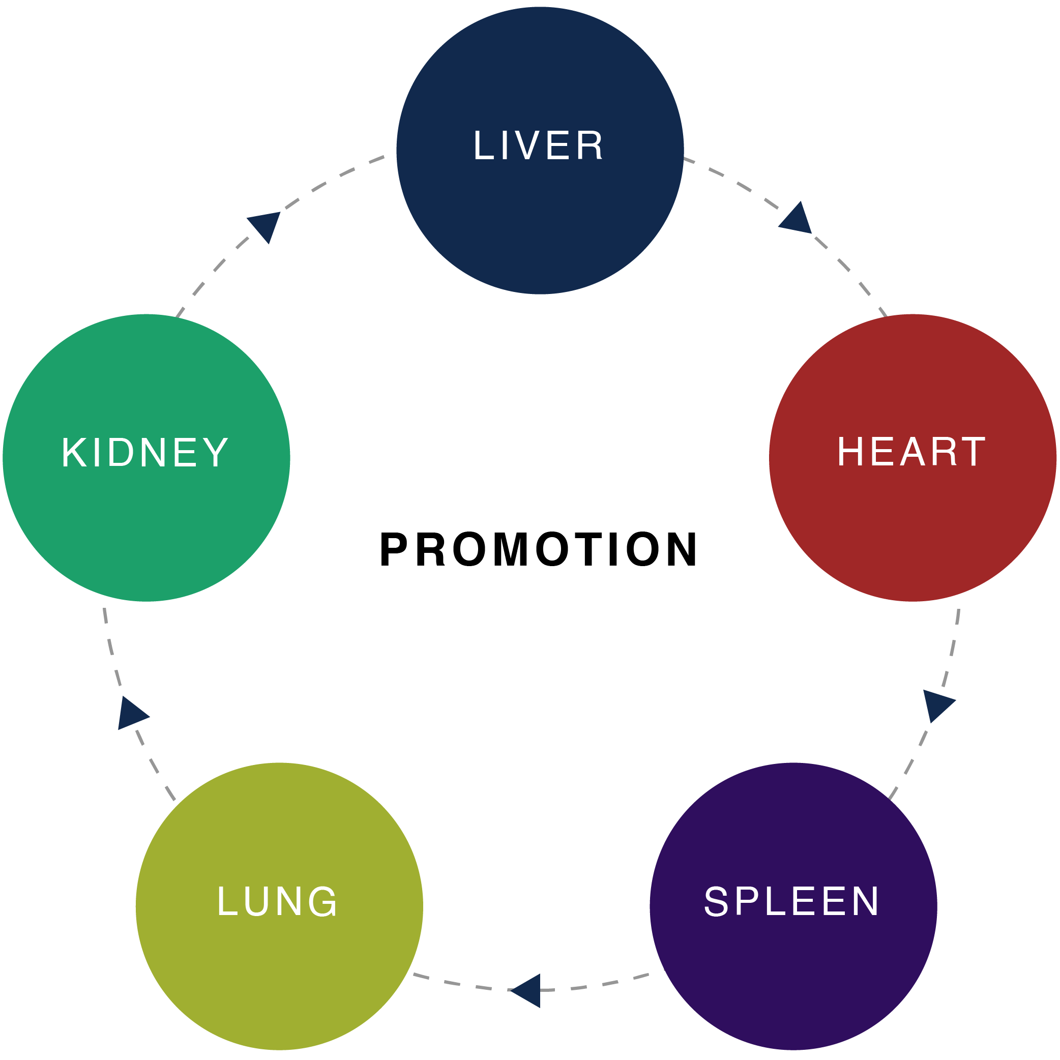Health Components 5 Rings Elements | Bio Nice